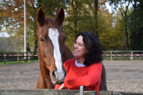 paardencoaching en therapie met paarden